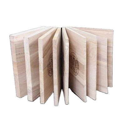 Paulownia Holz Taekwondo Breaking Martial Art Holz Brechbretter für Kinder