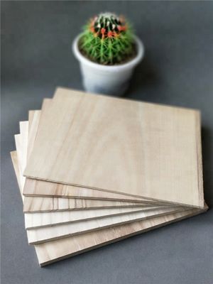 Taekwondo-Boards 225*300mm mit benutzerdefiniertem Logo