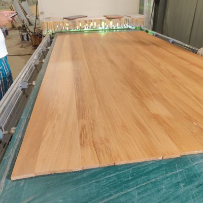 Moderne Kohlenstoffverbrannte Paulownia/Poplar Edge Glude Lumber für Massivholzplatten/Panels/Holz