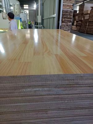 480-510 kg/m3 Kiefernholz 18 mm Finger Jointed Radiata Kiefermasse für Möbel
