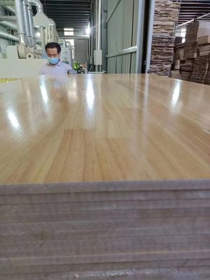 480-510 kg/m3 Kiefernholz 18 mm Finger Jointed Radiata Kiefermasse für Möbel