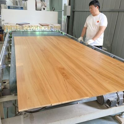 Karboniertes Pappelholzbrett Breite 100-1220 mm mit Online-Technischer Unterstützung