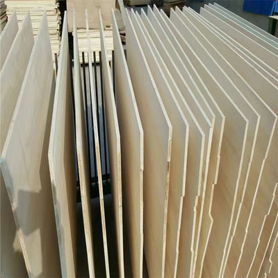 280-300 kg/Cbm Dichte Pappelholz Holz für Holzbearbeitungsprojekte