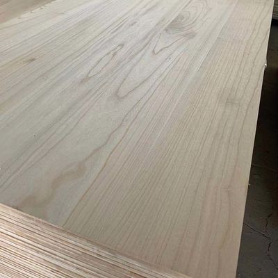 FSC-zertifizierte 3mm-50mm Paulownia-Holzplatte für die Möbelherstellung