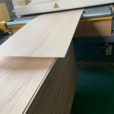 5 mm Dicke Festholz Paulownia mit Produktionszeit 5-15 Tage in natürlicher Farbe