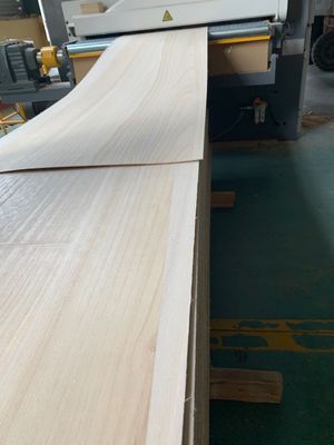 5 mm Dicke Festholz Paulownia mit Produktionszeit 5-15 Tage in natürlicher Farbe