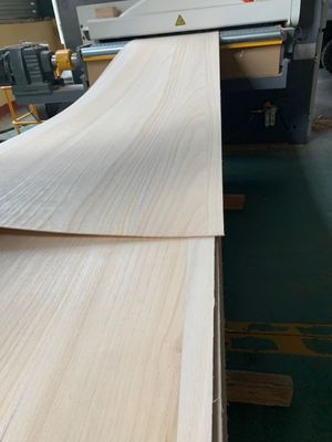 5 mm Dicke Festholz Paulownia mit Produktionszeit 5-15 Tage in natürlicher Farbe