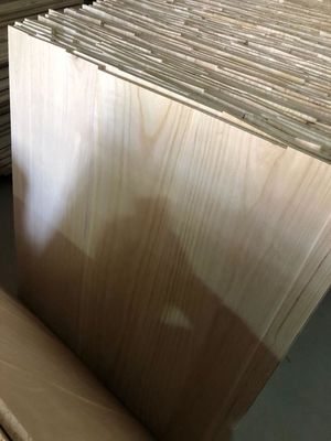 2440x1220 oder 1200x600 Größe 12 mm Druckholzbrett aus Paulownia mit FSC-Zertifikat