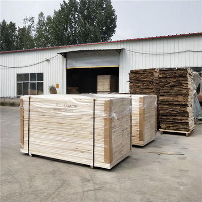 Paulownia-Holz für Möbelplatten Zeitgenössisches Design und Werkstatthandwerk