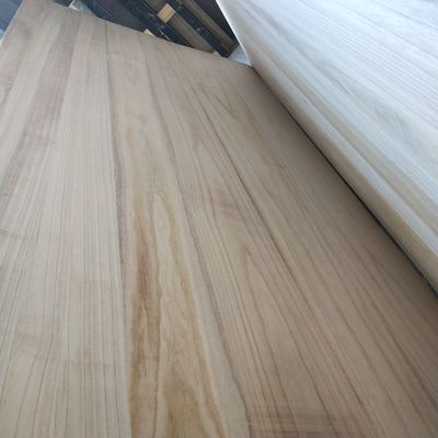 Paulownia Holz, angepasste Größe Bleichholz ohne Knoten 1220x2440 mm